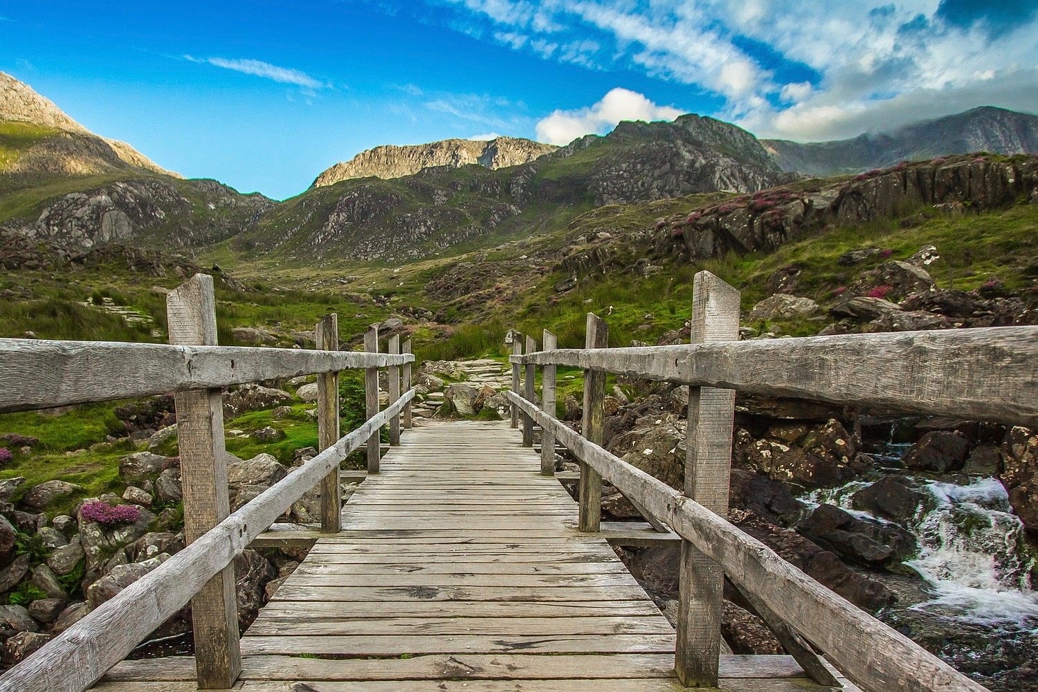 Natur Bewegung Coaching Alpen